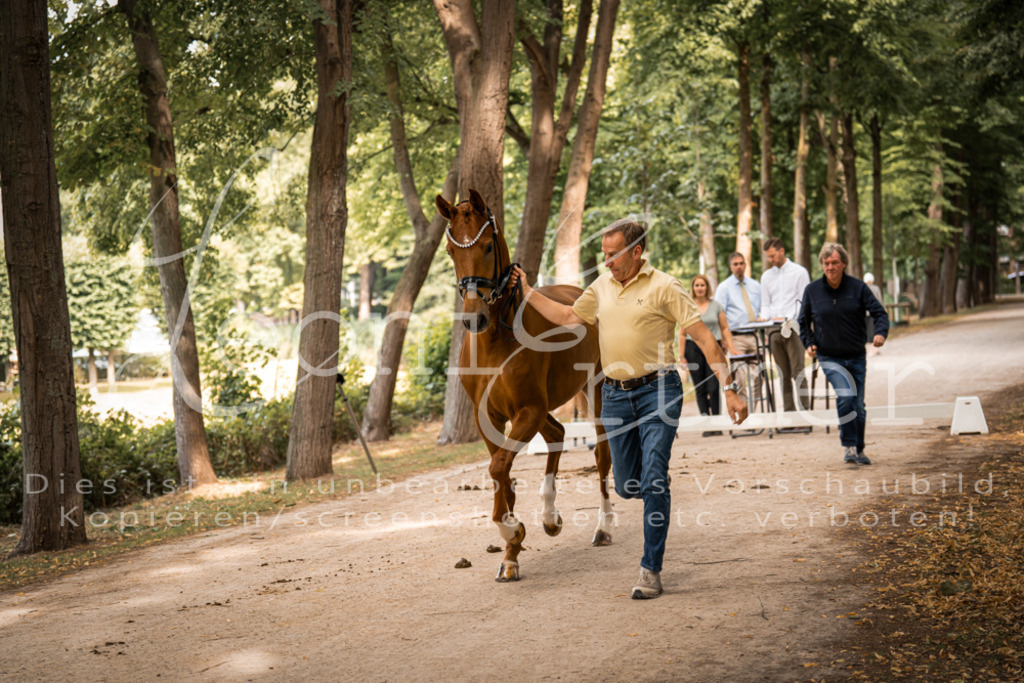 FrPfM00094 | Leoni Ertmer Photography - Realisiert mit Pictrs.com