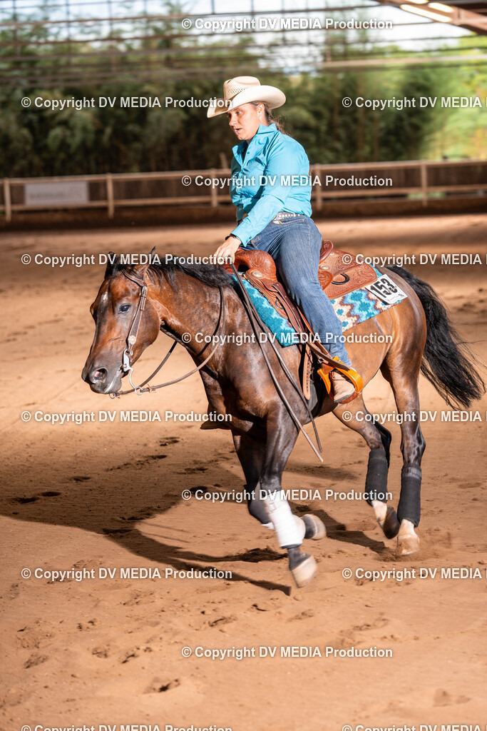 Erbach Tag 2-1279 | dv-media-shop - Realisiert mit Pictrs.com