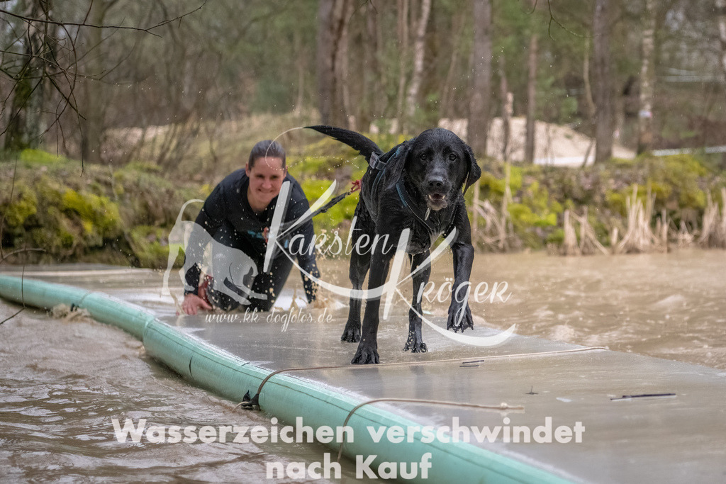 1057_ZZ93858-Bearbeitet | kk-dogfotos