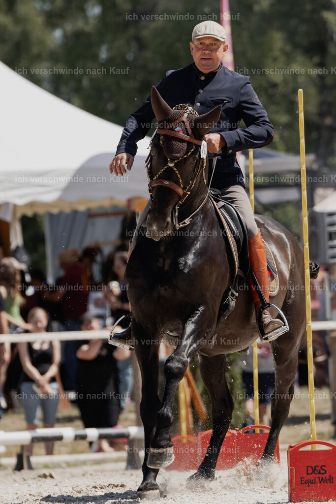 WE_SP_Stoib_320_PI2025_1719 | Pferd International München 2025