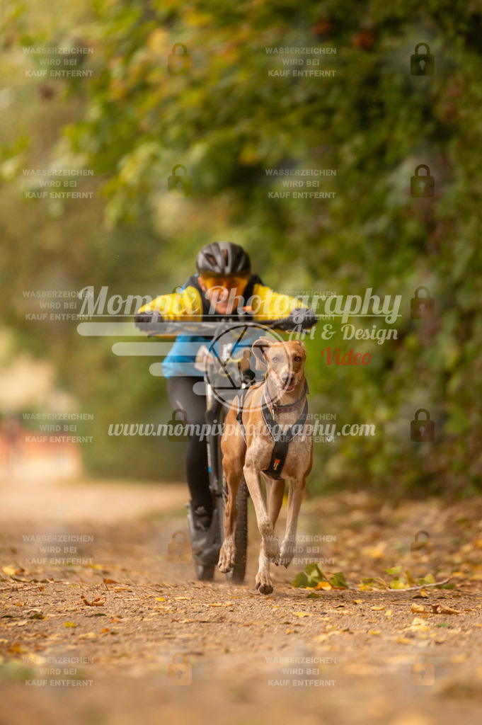 CDLBDB_14_10_2023_Samedi-158 | PayLife