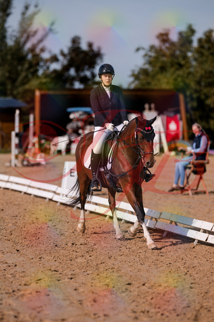 2026_10_03_Siefer-Hof_115806_Z81_00112152 | Professionelle Reitsport-, Turnier- und Eventfotografie von Robert Broda. Galerien mit ausgewählten und bearbeiteten Bildern direkt online ansehen und bestellen.