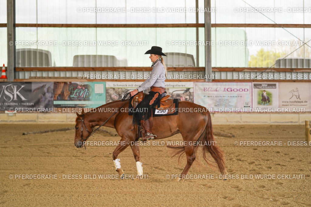 DSC07011 | Pferdegrafie