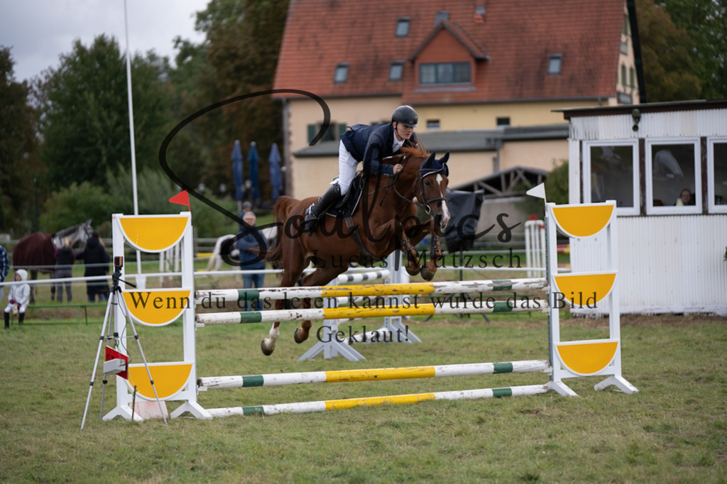 A7V07333 | Turnier/Reitfotograf