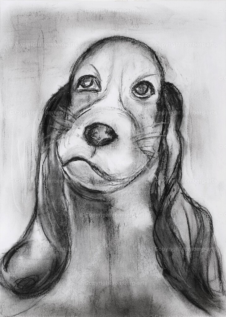 L1020472 (2) | romberg-arts, romberg-arts.de, www.romberg-arts.de, Foto_Online_Shop, Julia Fuhrmann, Köln, Fotos, Fotografie, Fotokunst, Kunstdrucke, Naturfotos, Aktfotos, Nacktfotos, schwarz_weiß_Fotos, Blumenfotos, Blumen, Tiere, Beton, Korrosion, Lächeln, Drucke