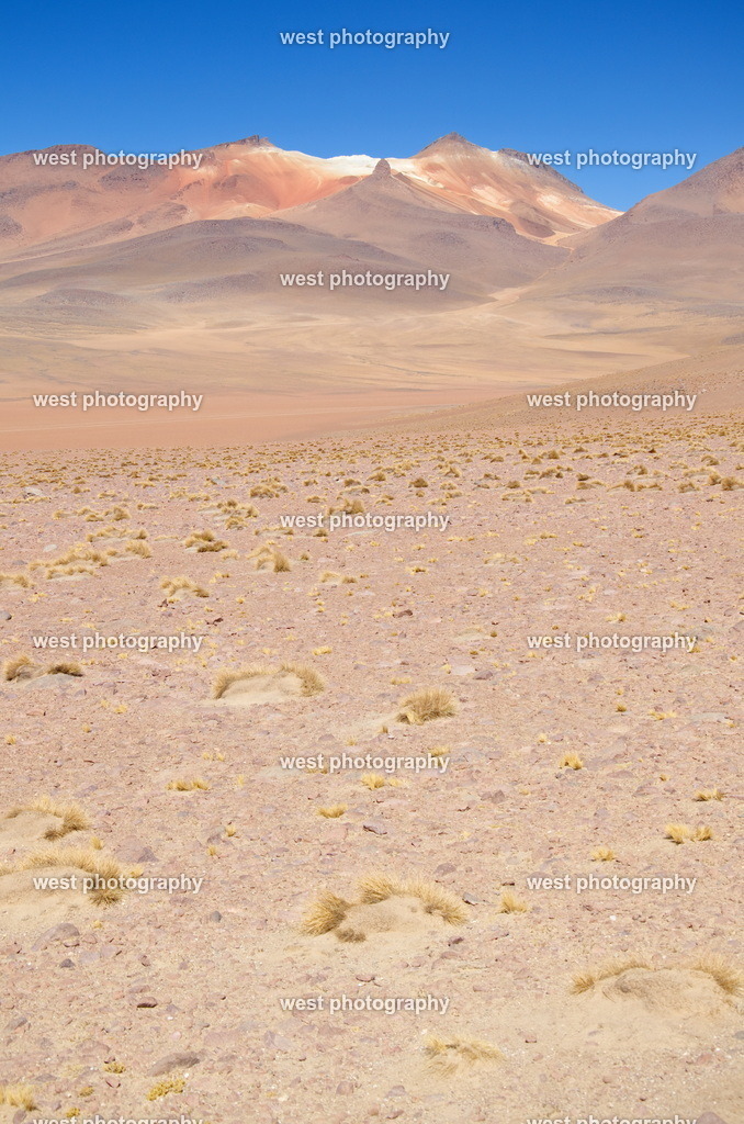 Bolivia highlands 3 - BVN 2015 | west photography - Realisiert mit Pictrs.com