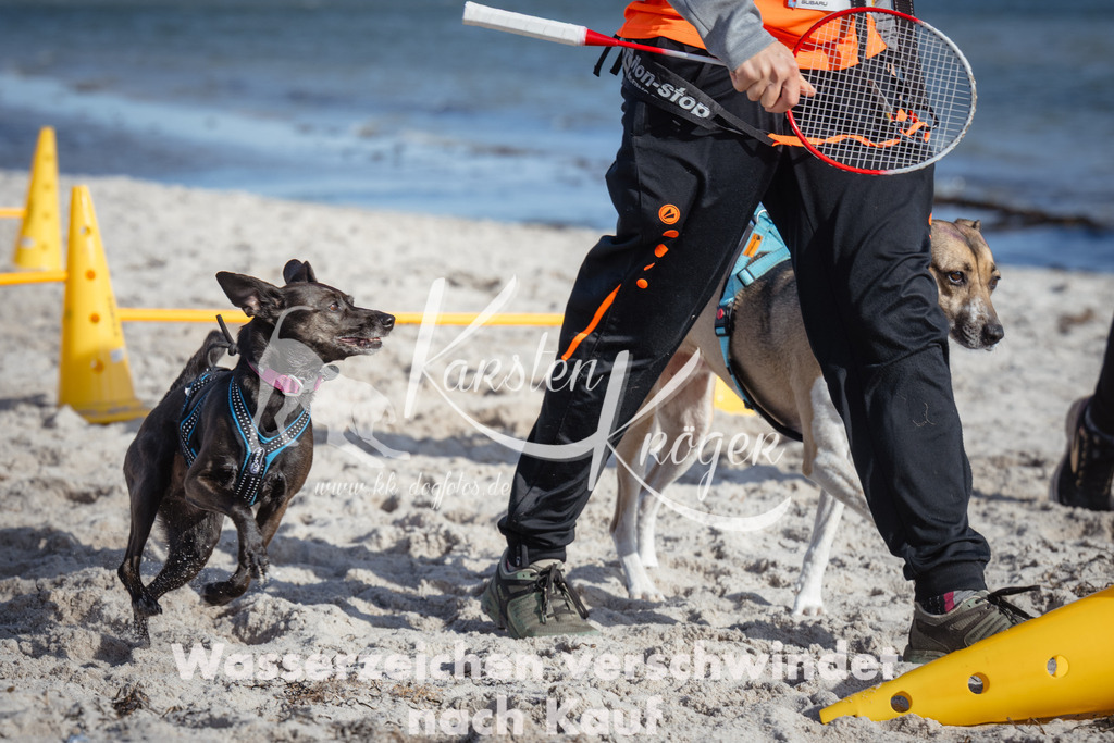 1340_ZZ92778 | kk-dogfotos