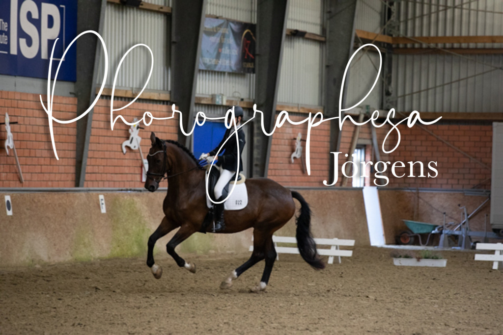 IMG_0531 | photographesa-joergens - Realisiert mit Pictrs.com