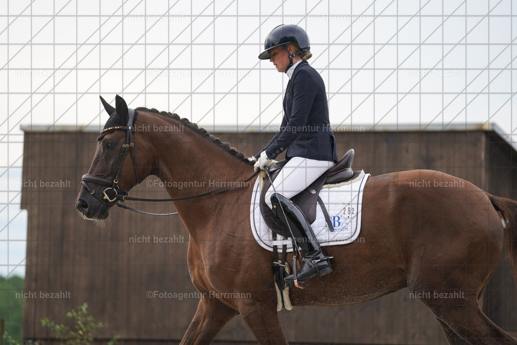 20230826-FAH04363 | Forstinning, 2023, Dressurturnier, Turniersportbilder, Turnierfotografen Bayern, Fotoagentur Herrmann, Reitsportfotografie, Turnierbilder