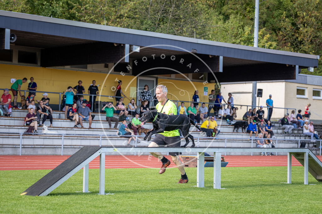 Pfotenfotografie_DV3A8177 | Hundefotografie, Tierfotograf, Pfotenfotografie, Fotoshooting Hund, Hunde Portrait, Hundesport, Hundeportraits, Heideshooting, Hunde, Sportfotograf, Hundefotograf, Turnierhundsport, THS,  - Realisiert mit Pictrs.com