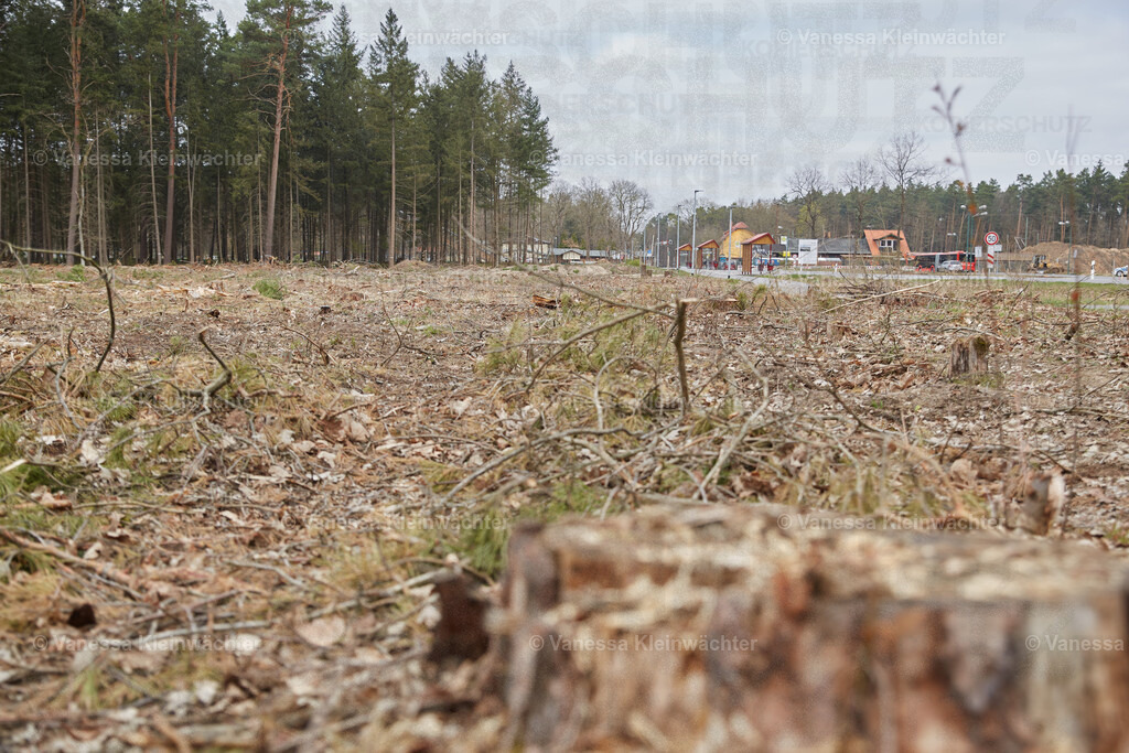 250412_TeslaWaldspaziergang_00022 | Vanessa Kleinwächter - Realisiert mit Pictrs.com