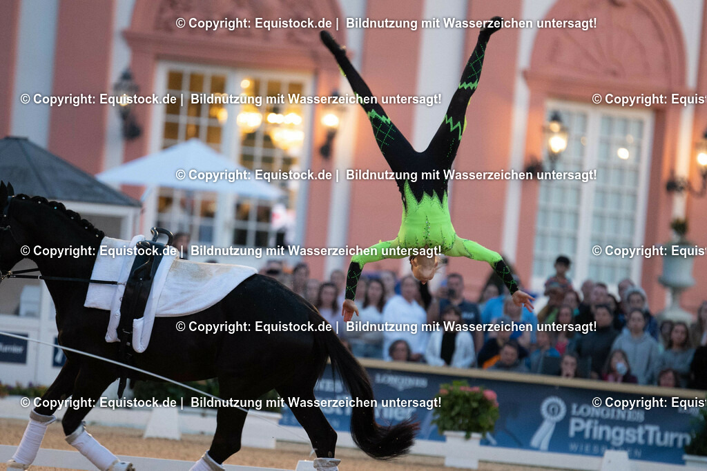 20230527_Voltigieren_NASPA_Flutlicht_0414 | equistock