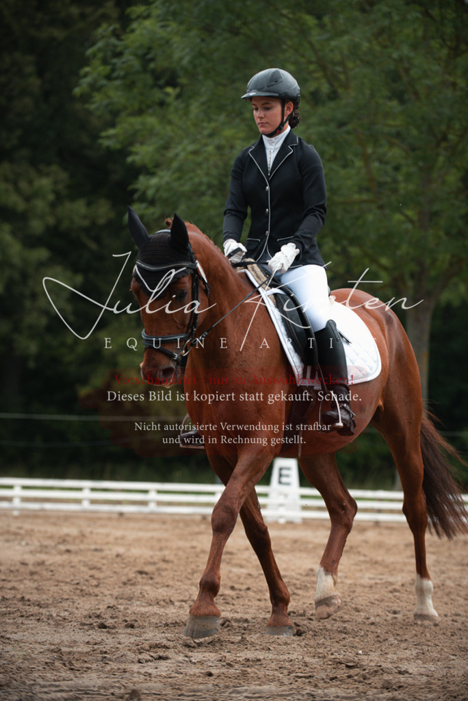 DSC_9785 | Pferde- und Turnierfotografie in Westsachsen. Pferdeportraits, Auftragszeichnungen und intuitive Kunst.