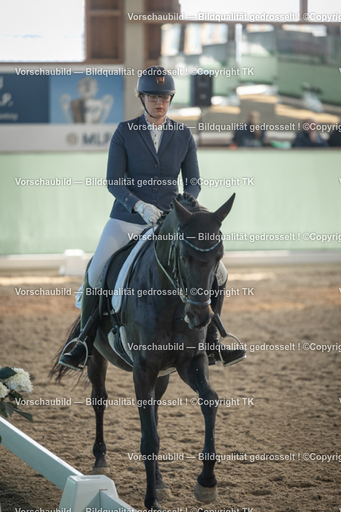 _D5A8320 | Emotionale Pferde- & People-Fotografie rund um Heidelberg, Leimen & Umgebung. Natürliche Fotos von Pferd, Mensch & Familie. Jetzt Termin sichern!