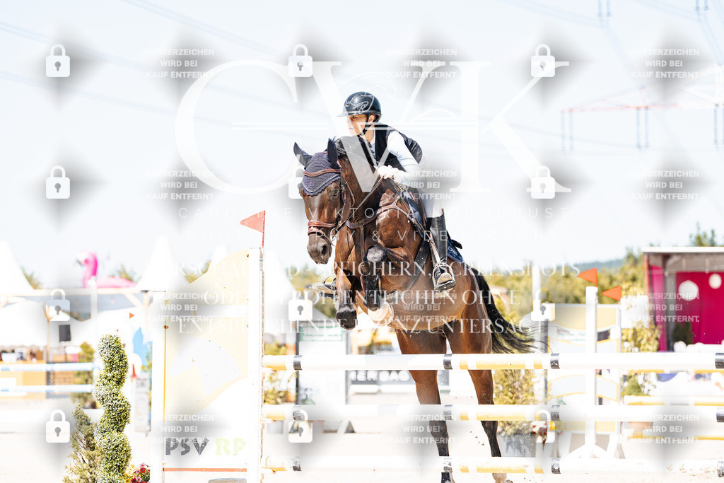 CK909447 | Turnierfotografie Pferdefotografie Trier Rheinland-Pfalz Pferdesport Reitsport Tierfotografie Sportfotografie Pferdevideo Pferdevideografie Equestrianvideography equestrianphotography  - Realisiert mit Pictrs.com