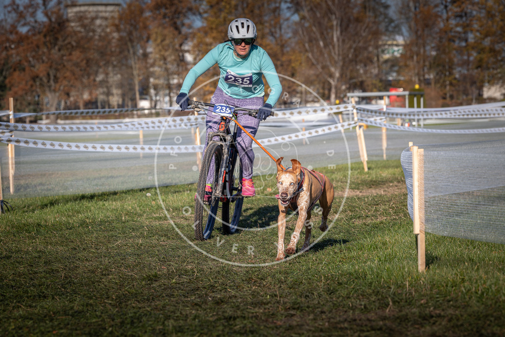 CaniXpix_0L8A4791 | Hundefotografie, Tierfotograf, Pfotenfotografie, Fotoshooting Hund, Hunde Portrait, Hundesport, Hundeportraits, Heideshooting, Hunde, Sportfotograf, Hundefotograf, Turnierhundsport, THS,  - Realisiert mit Pictrs.com