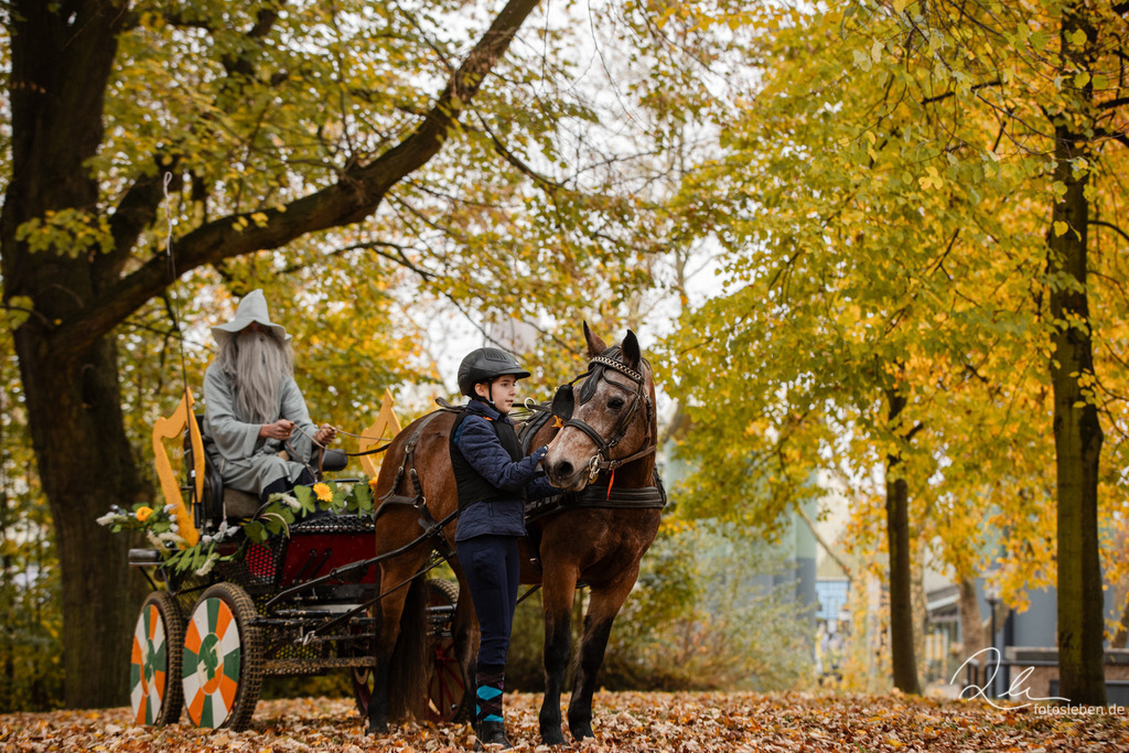 846A0546 | fotosleben - Realisiert mit Pictrs.com