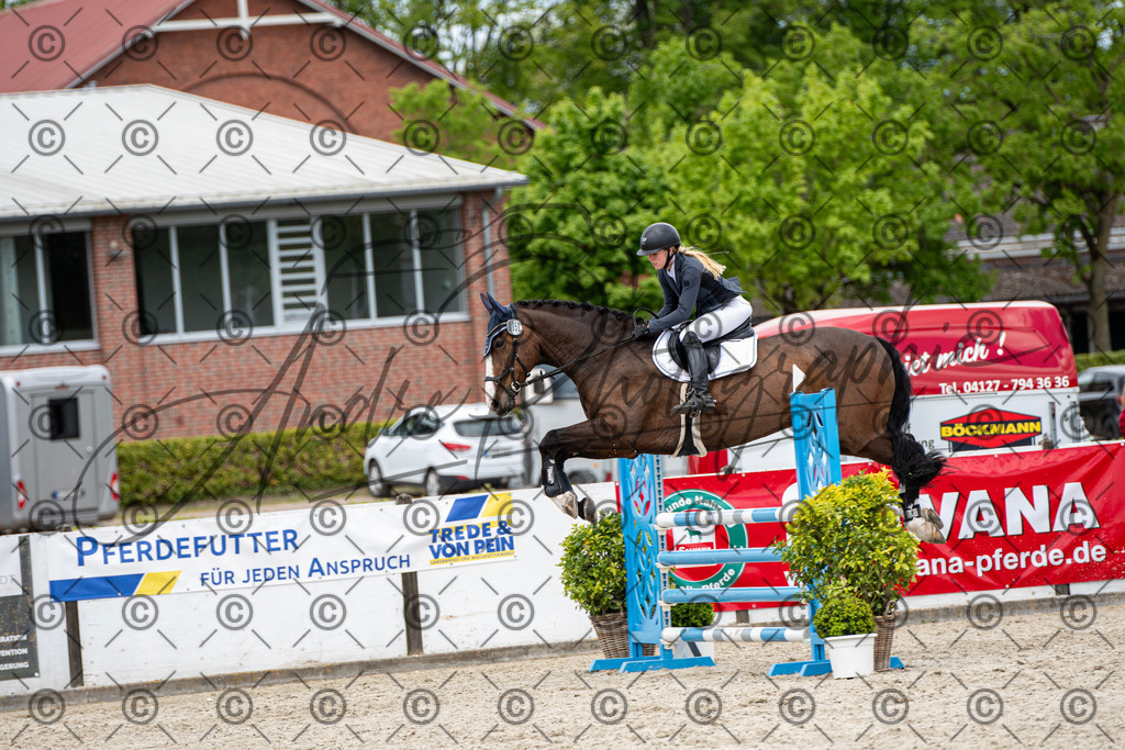 KPT_5777 | andre_photographic