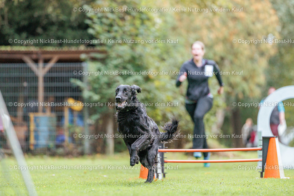 THS-HSV-Blumenthal-2026-Nickbest-Hundefotografie-1663 | Dein Hund! Dein Moment! Deine Erinnerungen! Hundefotografie in Bremen Blumenthal. Ich fange die besonderen Momente deines Vierbeiners ein – ob Indoor mit Blitzanlage oder in der freien Natur. Sicher dir dein Moment und dein Termin für eure Erinnerungen.