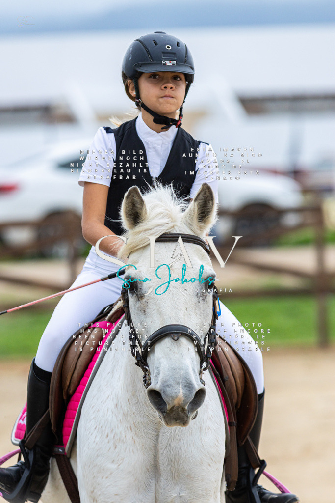 IMG_1340 | s-jay-photography - Realisiert mit Pictrs.com