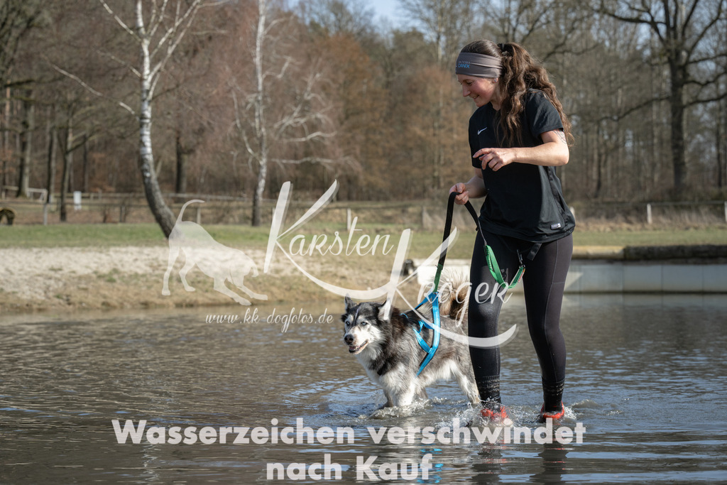 1330_ZZ96721 | kk-dogfotos