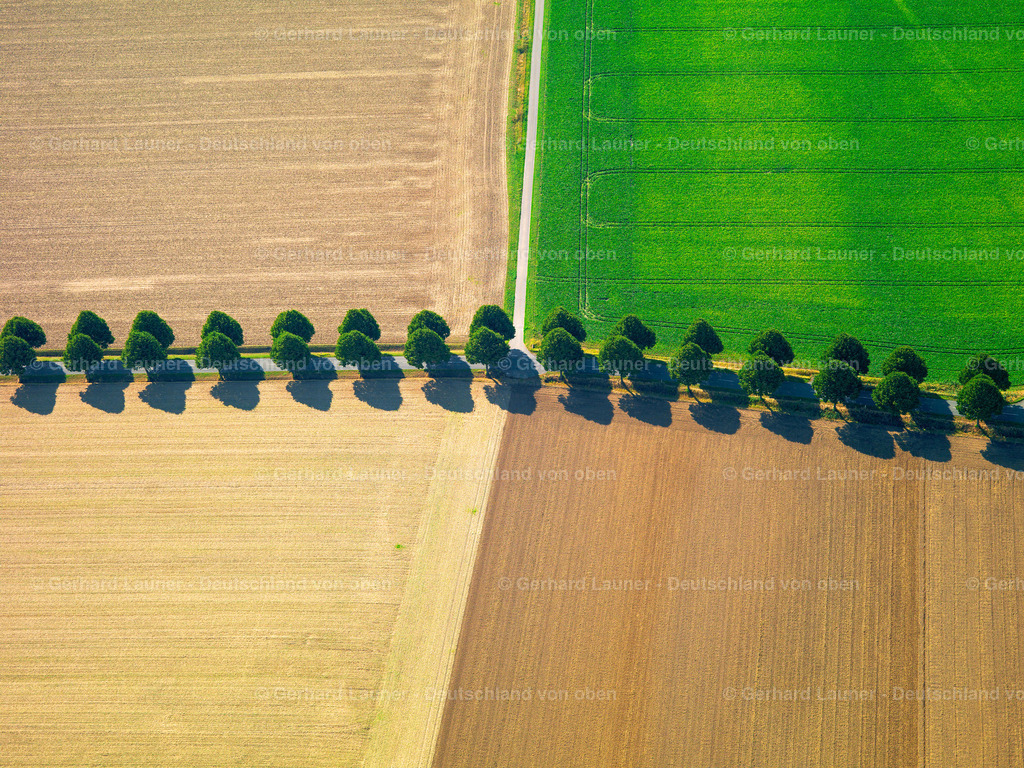 2638807 | Baumstrukturen bei Ohlendorf