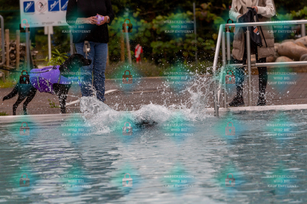 _HP_6130_1000o | HetPix, HetPix Fotodesign, Fotografie, Fotodesign, Webshop, Sportfotografie, Portraitfotografie, Onlineshop, Sportfotografie, Polch, Motorsportfotografie, Eventfotografie