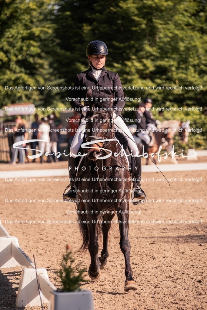 2025_05_31_DSCF2846 | People- und Tierfotografie, Imageaufnahmen, Veranstaltungsfotografie und Wandbilder aus der Natur ★ Made in Germany ✔️ Druck + Downloads ✔️ Naturfotografie in Top Qualität ★ schneller Versand, weltweite Lieferung! - Realisiert mit Pictrs.com