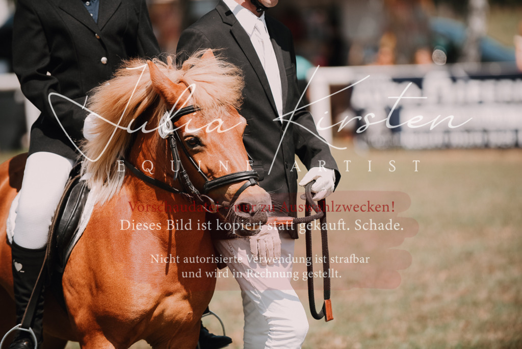 DSC_5985 | Pferde- und Turnierfotografie in Westsachsen. Pferdeportraits, Auftragszeichnungen und intuitive Kunst.