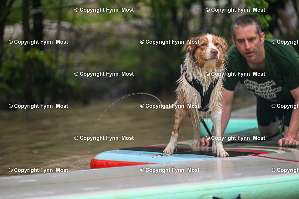 DSC_3803 | Hallo und herzlich Willkommen auf meiner Shop-Seite Fynn Most.

Ich wünsche Dir viel Spaß beim stöbern durch die Bilder, wenn Du Fragen hast oder Bilder vermisst, kannst du mir gerne eine Nachricht schreiben. - Realisiert mit Pictrs.com