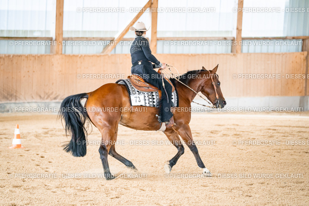 DSC01665 | Pferdegrafie