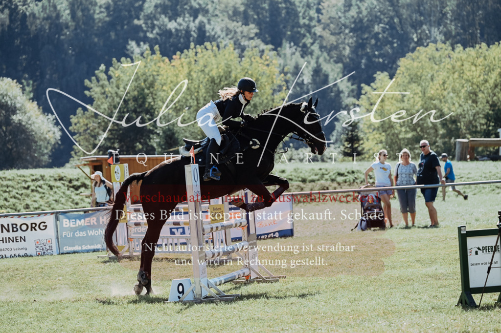 DSC_5777 | Pferde- und Turnierfotografie in Westsachsen. Pferdeportraits, Auftragszeichnungen und intuitive Kunst.