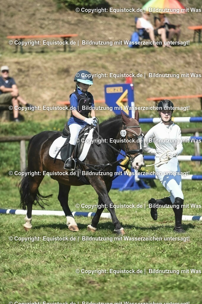 20230910_11-3_Führzügel-WB_0038 | Foto: Thomas Hartig