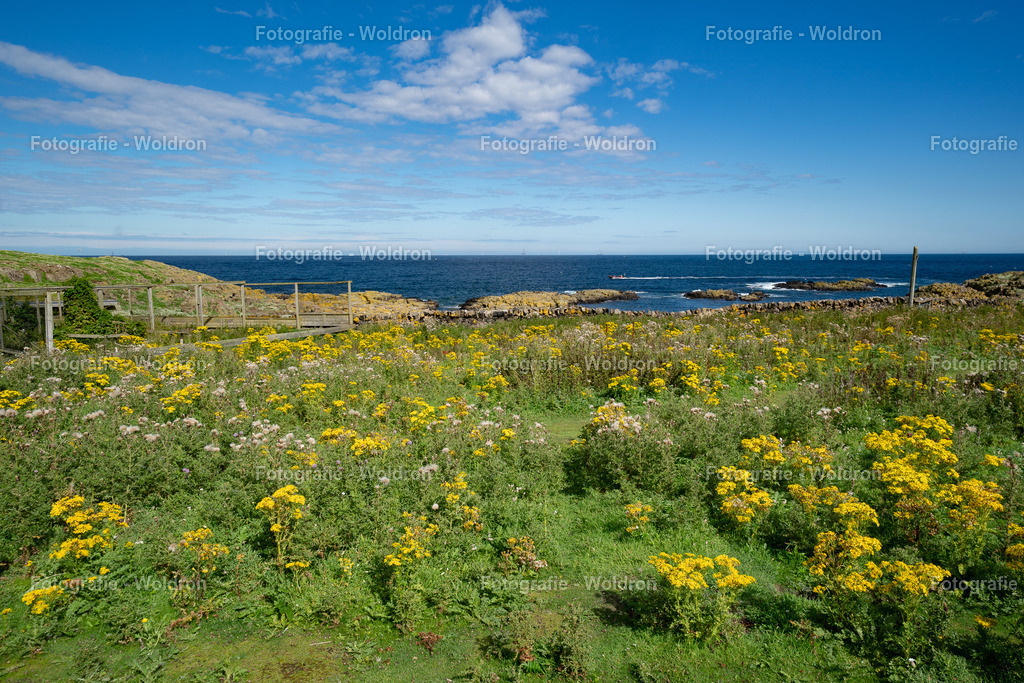 20230815 Isle of Sky - St.Andrews - Dundee-104 | Fotografie Woldron