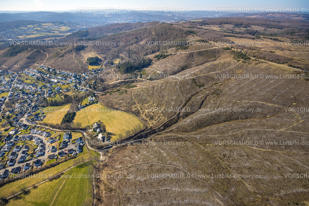 Arnsberg250305181Oeventrop | Luftbild, Waldgebiet mit Waldschäden am Ortseil Oeventrop, Glösingen, Arnsberg, Sauerland, Nordrhein-Westfalen, Deutschland