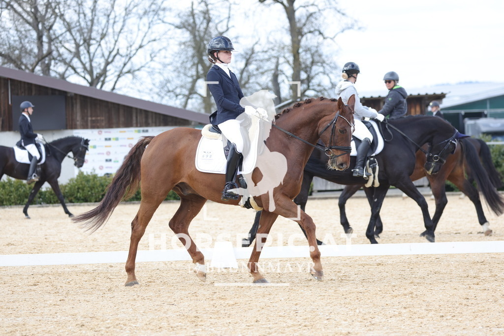 0P6A6985 | Willkommen bei Brunnmayr - Design & Fotografie – Ihrem Spezialisten für Reitturniere und Pferdeveranstaltungen in Oberösterreich, Salzburg und Bayern! Seit über 17 Jahren sind wir leidenschaftlich dabei.
