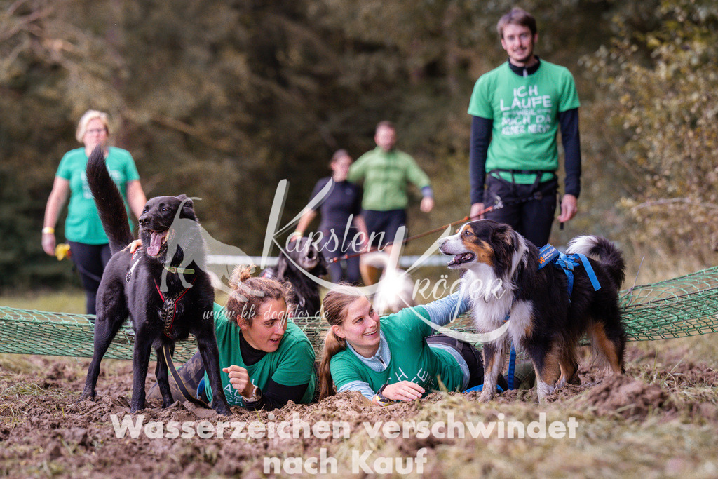 1216_ZZ92934 | kk-dogfotos