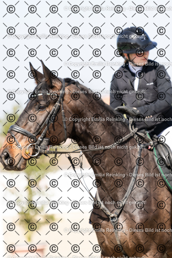 CL5A5845-3 | Emilia Reinking Fotografie - Realisiert mit Pictrs.com