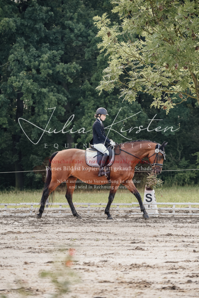 DSC_8081 | Pferde- und Turnierfotografie in Westsachsen. Pferdeportraits, Auftragszeichnungen und intuitive Kunst.