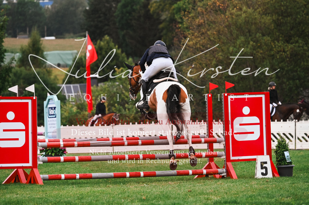 DSC_6506 | Pferde- und Turnierfotografie in Westsachsen. Pferdeportraits, Auftragszeichnungen und intuitive Kunst.