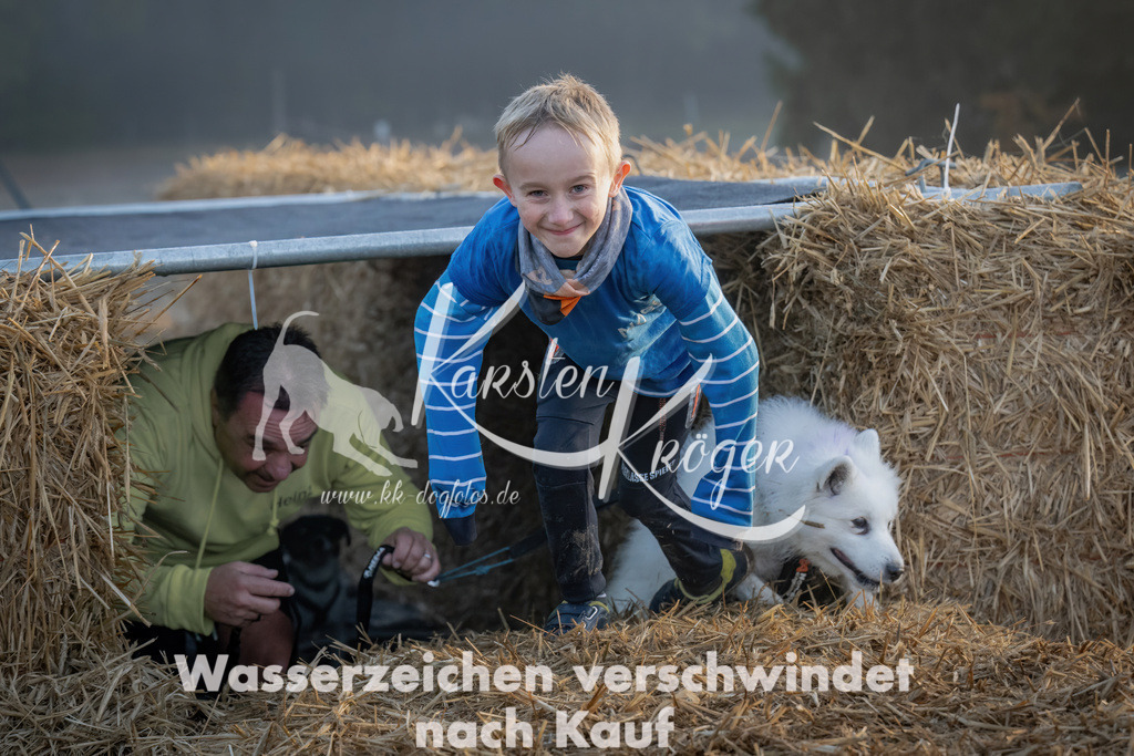 0850_ZZ99283 | kk-dogfotos