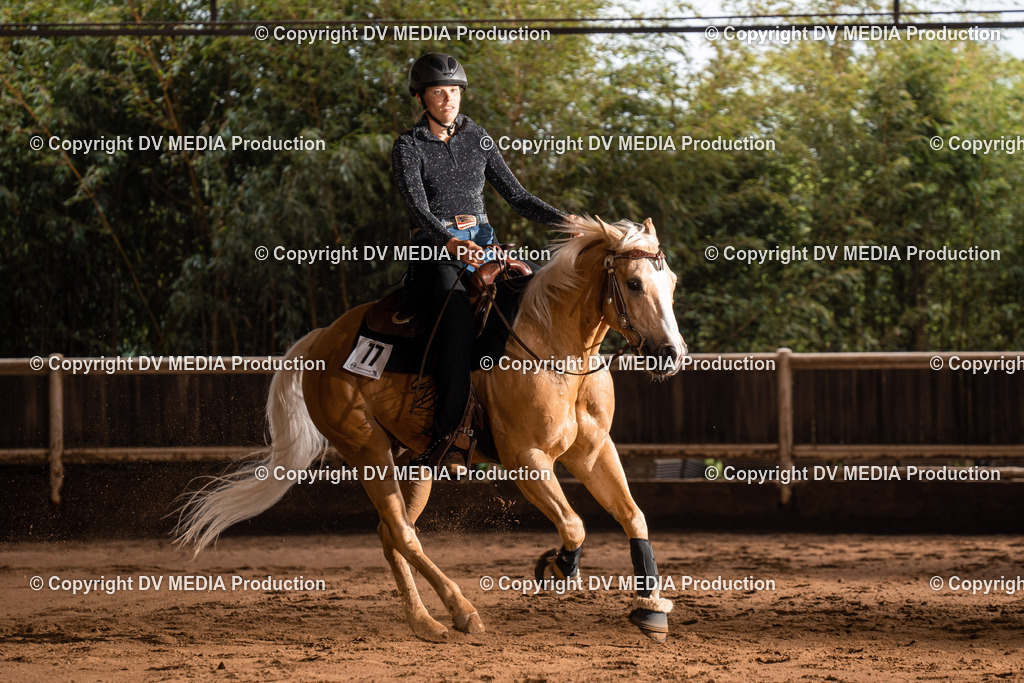 Erbach Tag 2-773 | dv-media-shop - Realisiert mit Pictrs.com