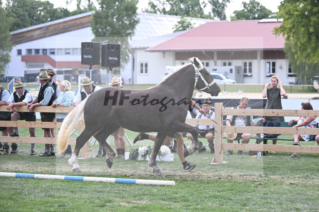 Kat-Nr. 66 Perle_Onnich_20231079 | hf-fotografie - Realisiert mit Pictrs.com