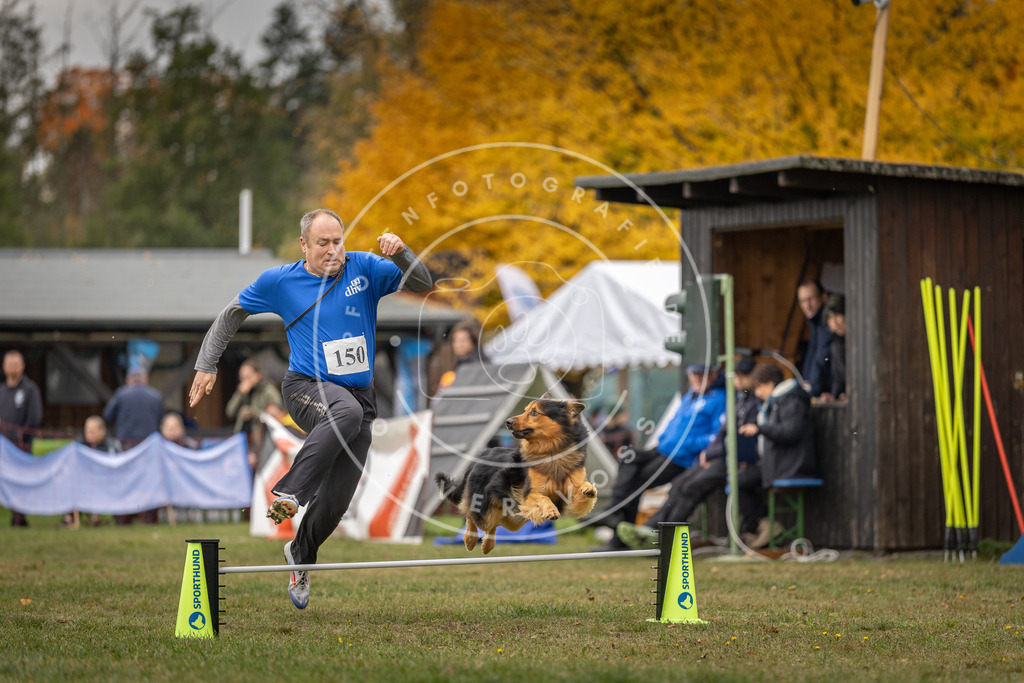 Pfotenfotografie_DV3A6186 | Hundefotografie, Tierfotograf, Pfotenfotografie, Fotoshooting Hund, Hunde Portrait, Hundesport, Hundeportraits, Heideshooting, Hunde, Sportfotograf, Hundefotograf, Turnierhundsport, THS,  - Realisiert mit Pictrs.com