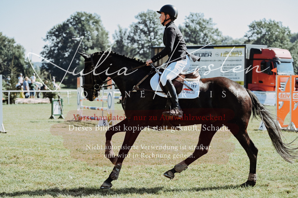 DSC_5735 | Pferde- und Turnierfotografie in Westsachsen. Pferdeportraits, Auftragszeichnungen und intuitive Kunst.