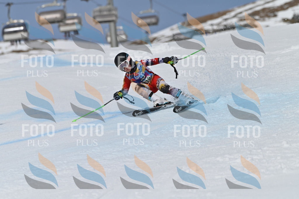 BGV_6287 | holidayphoto