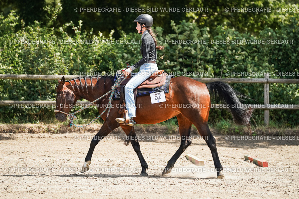 DSC07680 | Pferdegrafie