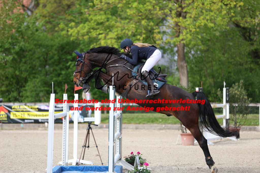 A40A2965 | lmwpictures - Realisiert mit Pictrs.com