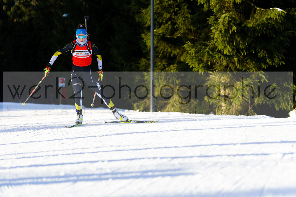 DP Oberwiesenthal | Alpencup/DP Deutschlandpokal in Oberwiesenthal am 15.-17.12.2023