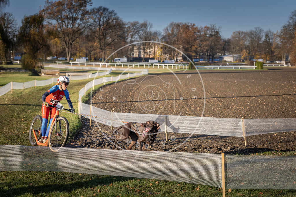 CaniXpix_DV3A1560 | Hundefotografie, Tierfotograf, Pfotenfotografie, Fotoshooting Hund, Hunde Portrait, Hundesport, Hundeportraits, Heideshooting, Hunde, Sportfotograf, Hundefotograf, Turnierhundsport, THS,  - Realisiert mit Pictrs.com